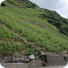 s5cMosel1735