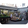 s6iAmsterdam3276